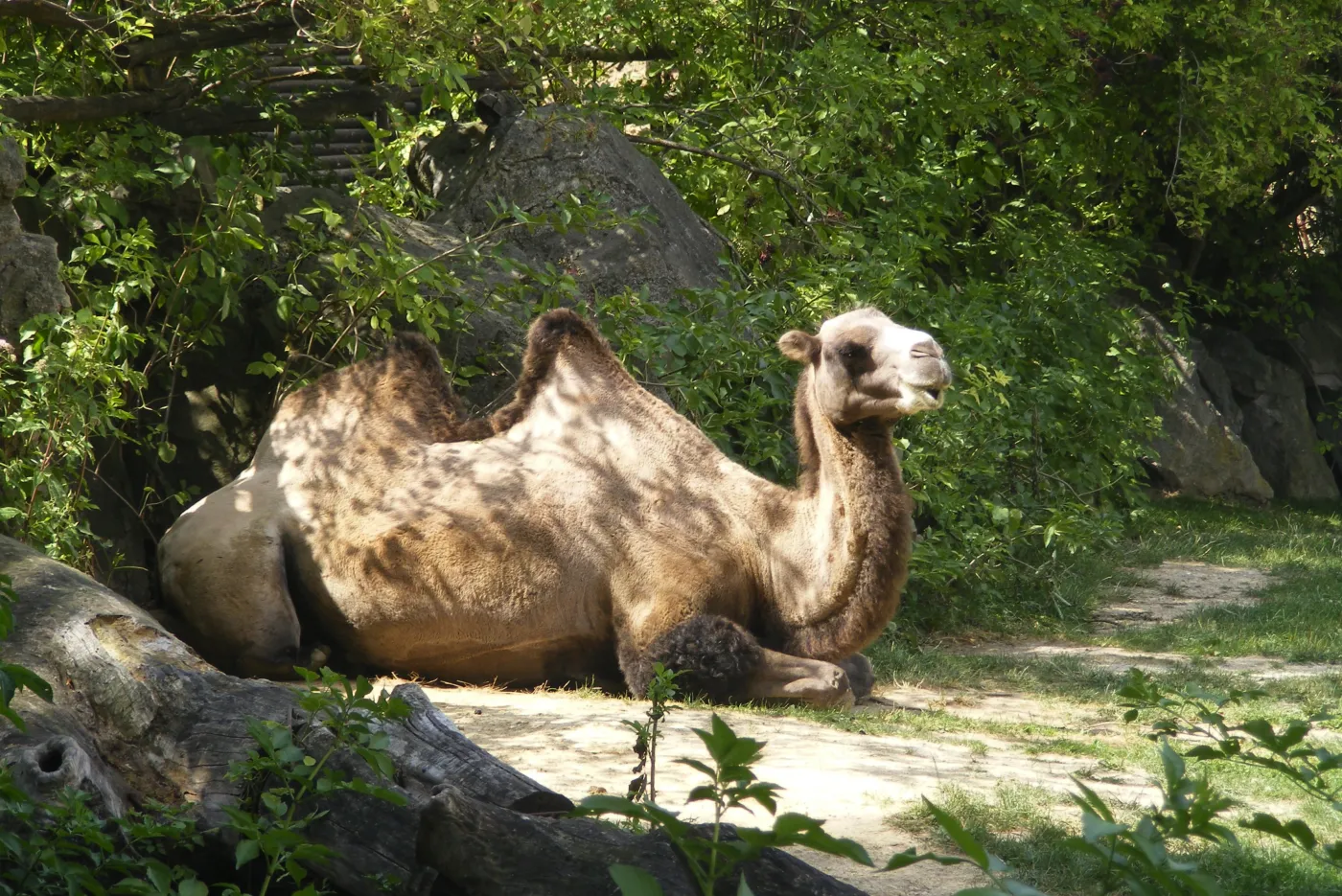 ZOO Bojnice – ilustračná fotografia