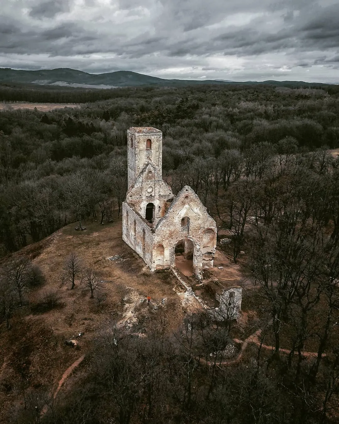 Katarínka – ilustračná fotografia