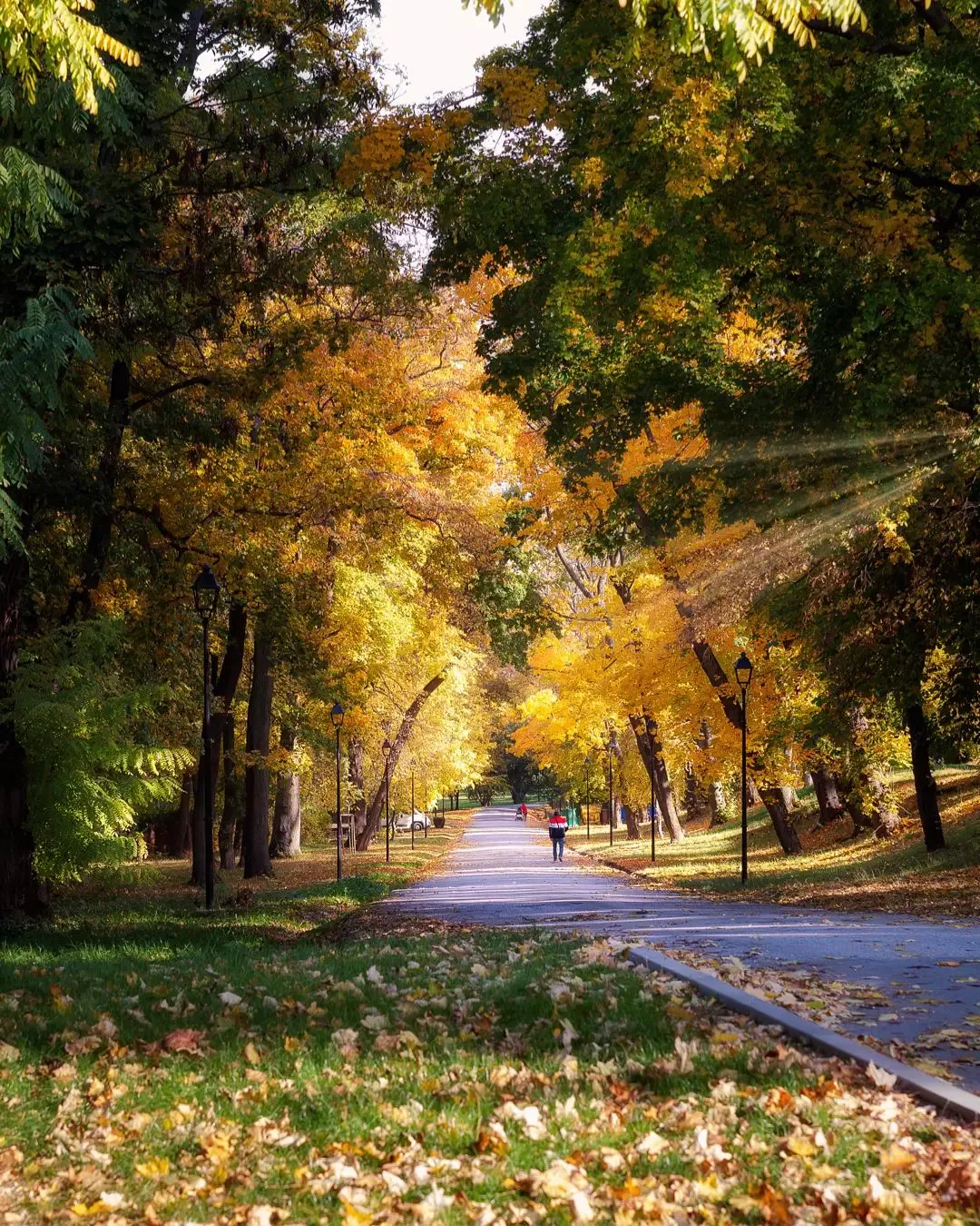 Zámocký park v Hlohovci – ilustračná fotografia