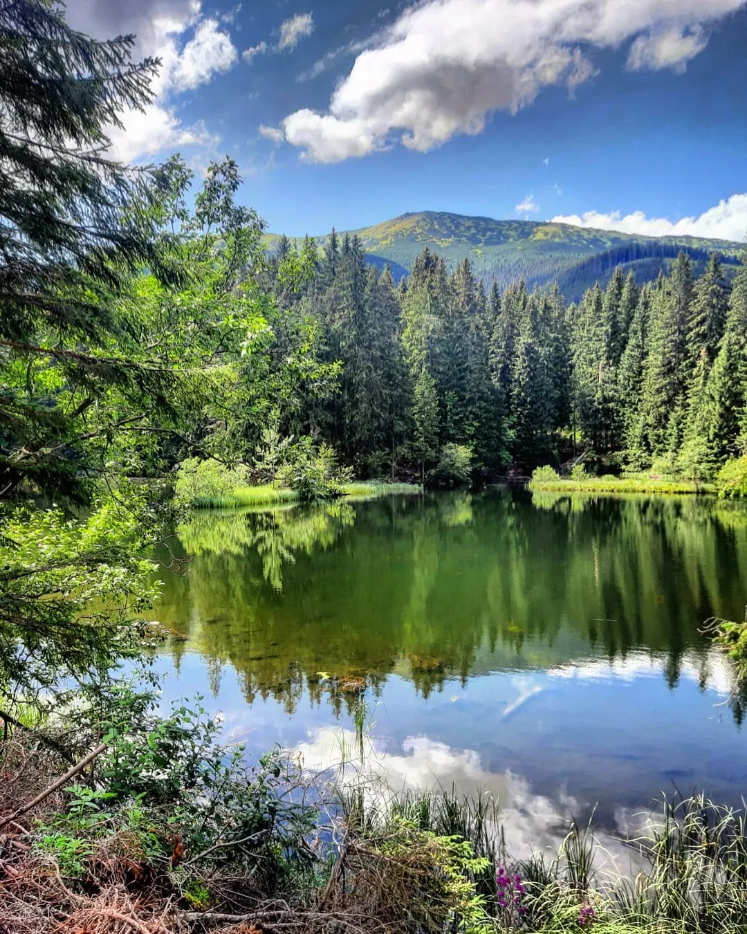 Vrbické pleso – ilustračná fotografia
