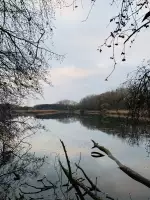 Číčovské mŕtve rameno