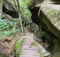 Tesárska roklina