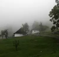 Kalište