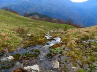 Mojžišove pramene