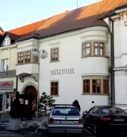 Malokarpatské múzeum v Pezinku