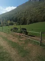 Sysľovisko Muránska planina