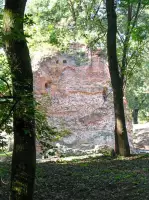 Hrad Parič