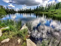 Jamské pleso