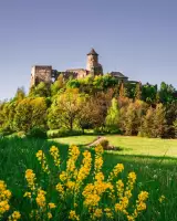 Ľubovniansky hrad