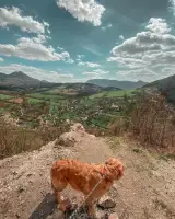 Košecký hrad