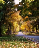 Zámocký park v Hlohovci