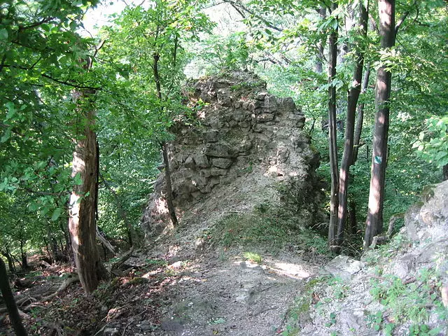 Hrad Blh — postavený pred rokom 1312, Matúš Čák