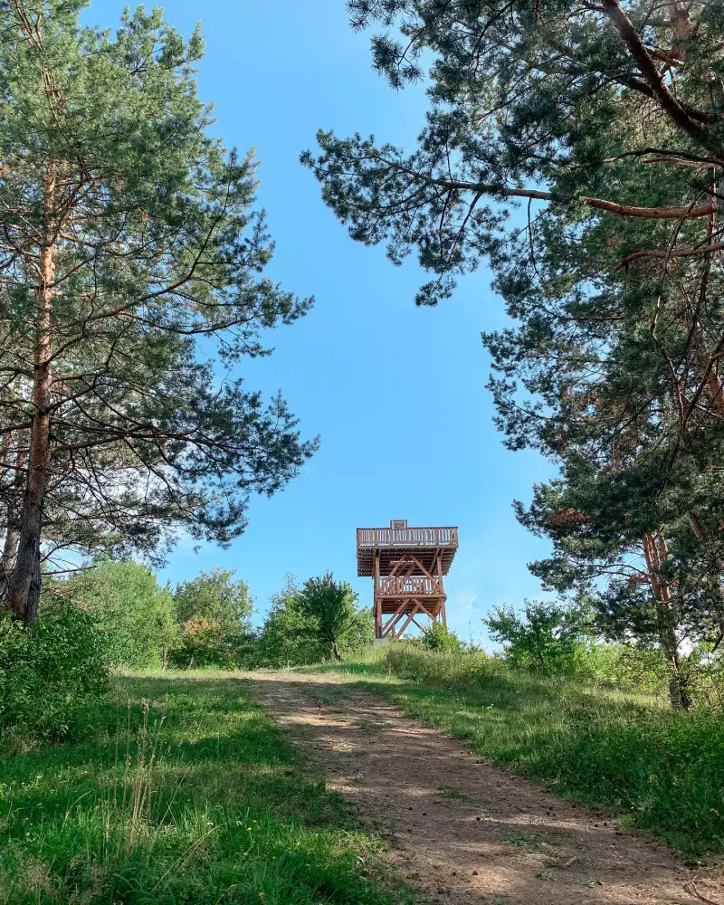 Rozhľadňa Okružná – výhľad na Kapušiansky hrad a Čergov