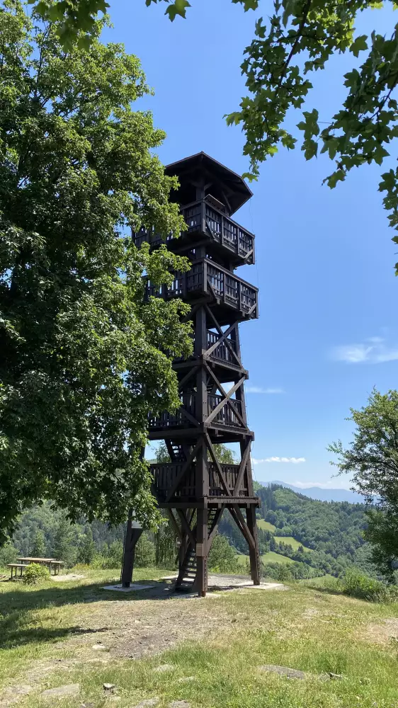 Vyhliadková veža Divinka (19,20 m) na Veľkom vrchu