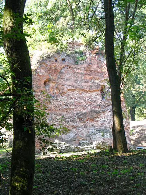 Hrad Parič – 13. storočie, dnes len jedna stena