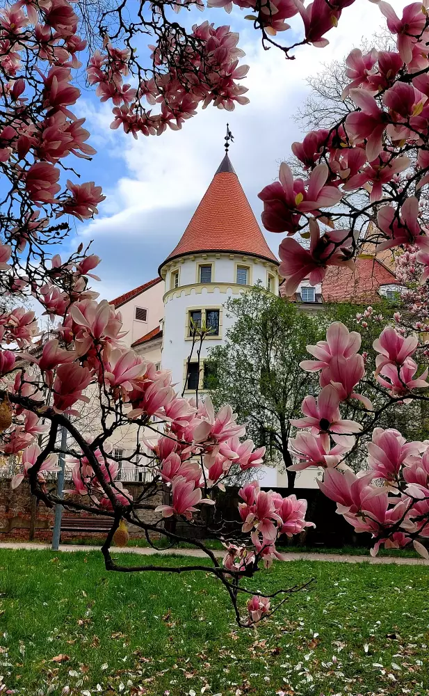 Pezinský zámok – Vodný hrad a Národný salón vín