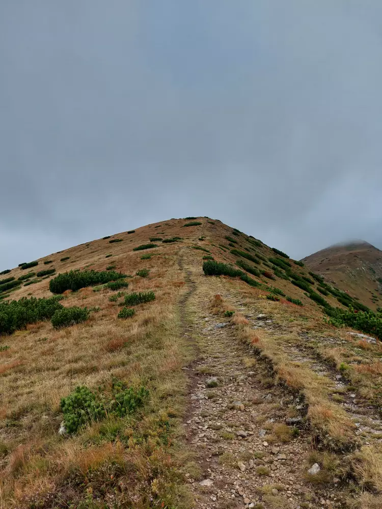 Vrch Mládky – vyhliadka na Liptovskú kotlinu a Západné Tatry