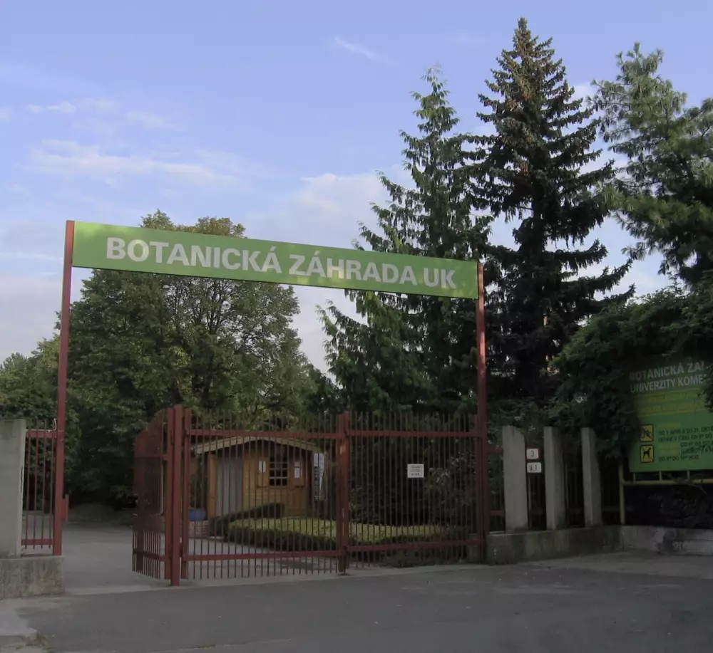 Botanická záhrada UK – zbierky živých rastlín a vzdelávanie