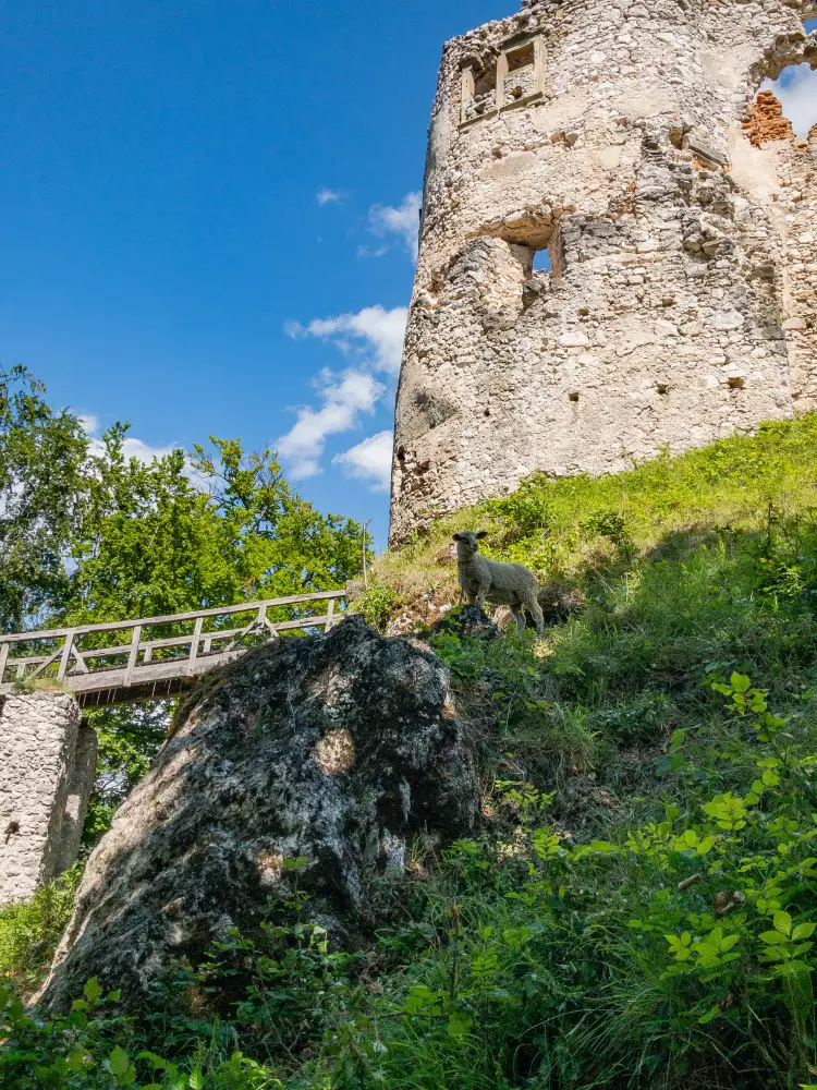 Hrad Uhrovec – ruiny z 13. storočia a bývalé väzenie