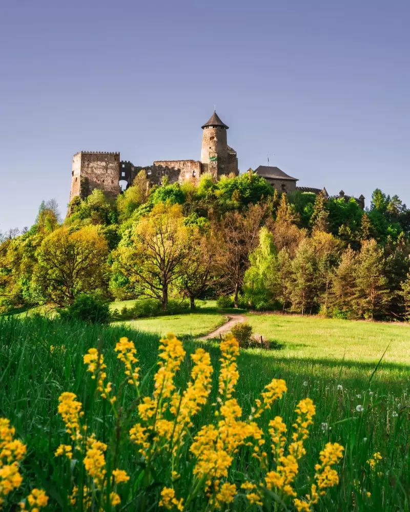 Ľubovniansky hrad nad Starou Ľubovňou, skanzen